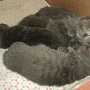 ���� ����_����� ������ ���� ���-��..., �������� - ��������� 2 ������� 2013 � ������ ���������� 02.08�