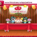 ���� �����, ���������, 43 ���� - ��������� 29 ������� 2010 � ������ �PetLove�