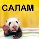 ���� ������, ����, 46 ��� - ��������� 22 ������ 2011