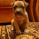 ���� ��������, �����, 46 ��� - ��������� 8 ������� 2011 � ������ �������