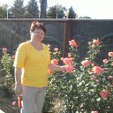 ���� ����, ���������, 73 ���� - ��������� 19 ���� 2013