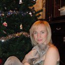 ���� ���������, ������ ��������, 49 ��� - ��������� 3 ���� 2013 � ������ ���� ����������