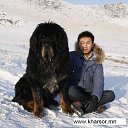 ���� Amgaa Kharsor, ����-�����, 52 ���� - ��������� 13 ������� 2013