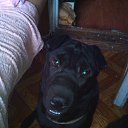 ����� ������!