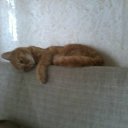 ���� ������, ��������� - ��������� 15 ��� 2012 � ������ �������