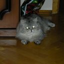 ���� Svetlanas, ���������, 47 ��� - ��������� 7 ���� 2010 � ������ ���� �������