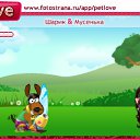  , , 53  -  11  2010   PetLove