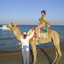 ���� ������, �����, 64 ���� - ��������� 27 ����� 2012 � ������ ������ � ������