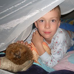 ���� ������, �����, 63 ���� - ��������� 7 ���� 2013