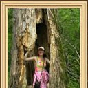 ���� �����..., �������������-���������� - ��������� 8 ���� 2013 � ������ ���� ����������