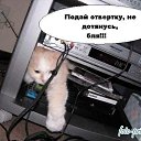 ���� �������� �, ������������, 59 ��� - ��������� 4 ������ 2012 � ������ ���������