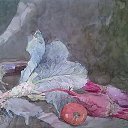 ���� ����, �������, 40 ��� - ��������� 12 ������� 2012 � ������ ��� ������