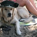 ���� �������, ���������� - ��������� 26 ������� 2011