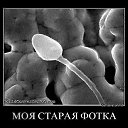 ���� ������, �����������, 36 ��� - ��������� 8 ���� 2013 � ������ ���� ���� ������