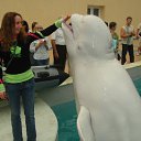 ���� ***������ -���� ***, ����������, 40 ��� - ��������� 1 ������� 2011 � ������ ���� ����������