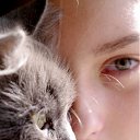 ���� ���, ��������� - ��������� 10 ������ 2011 � ������ ���� ����������