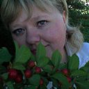 ���� ��������, ����-��� - ��������� 7 ������� 2012 � ������ ���� ����������