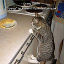 ���� ����, �����, 50 ��� - ��������� 11 ������ 2010 � ������ ������������