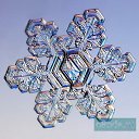 ���� �������, ������, 41 ��� - ��������� 9 ������� 2009 � ������ ���������