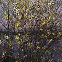  , , 63  -  21  2012   21.10.12 .