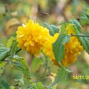  , , 56  -  15  2010     2010