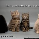 ���� �����, ������, 26 ��� - ��������� 25 ���� 2010 � ������ ���������