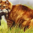 ���� ����, ������, 25 ��� - ��������� 23 ������ 2010 � ������ ���� ����������