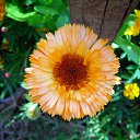 ���� �����, �������, 44 ���� - ��������� 17 ��� 2010 � ������ ������ � ���� ����