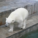 ���� ������� �����, ����������� - ��������� 29 ���� 2011 � ������ �������