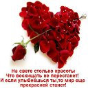 ���� �������, ���������, 48 ��� - ��������� 20 ���� 2012 � ������ ������