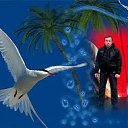 ���� Roman, ������� - ��������� 5 ��� 2012 � ������ ���� ����������