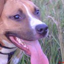 ���� Ed, ����, 54 ���� - ��������� 29 ������� 2009 � ������ �������