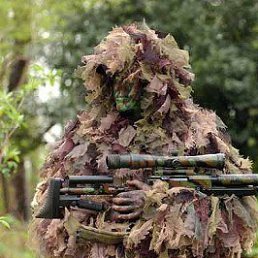 ����, ������, 39 ���