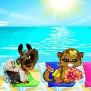  (  ),  , 54  -  8  2010    