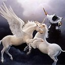 ���� "@����", �����-���������, 25 ��� - ��������� 26 ��� 2010 � ������ �������