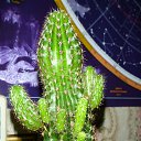 ���� Serg, ��������, 59 ��� - ��������� 27 ������ 2013 � ������ ���� ����������