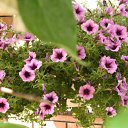 ���� Kisa, ��������������, 42 ���� - ��������� 9 �������� 2011 � ������ �RoadKing�