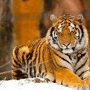 ���� ���, ������� - ��������� 7 ���� 2010 � ������ �������