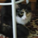 ���� �������, ������������, 38 ��� - ��������� 14 ����� 2012 � ������ ���� ����������