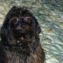 � ������� �� ������� ���� ����������