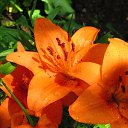 ���� ������, ������, 54 ���� - ��������� 19 ������ 2013 � ������ �NEW�