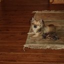 ���� �������, ������, 69 ��� - ��������� 19 ���� 2012 � ������ �������