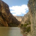 ���� ����, �����������, 50 ��� - ��������� 8 ���� 2011 � ������ �������