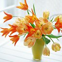 ���� �������, ������ - ��������� 7 ��� 2013