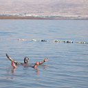 ���� Roman, �����, 42 ���� - ��������� 4 ������ 2011 � ������ ���� ����������