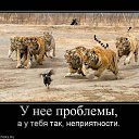 ���� ..��, ����� - ��������� 14 ���� 2013 � ������ ����-��� ��� ���-����-������)))�