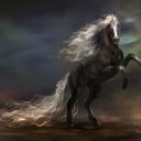 ���� �����, ���������, 29 ��� - ��������� 15 ������ 2010 � ������ �������