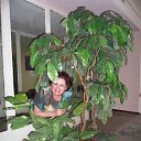 ���� �������-, ������ ��� - ��������� 27 ���� 2013 � ������ ���� ����������