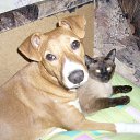 ���� ����, �����-���������, 60 ��� - ��������� 29 ������ 2013 � ������ ���� ����������