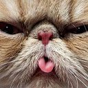 � ����� �������� ���� vk.com/fotiko �� ������� ���� ����������